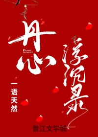 丹心浮沉录