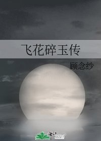 飞花碎玉传