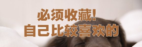必须收藏！自己比较喜欢的